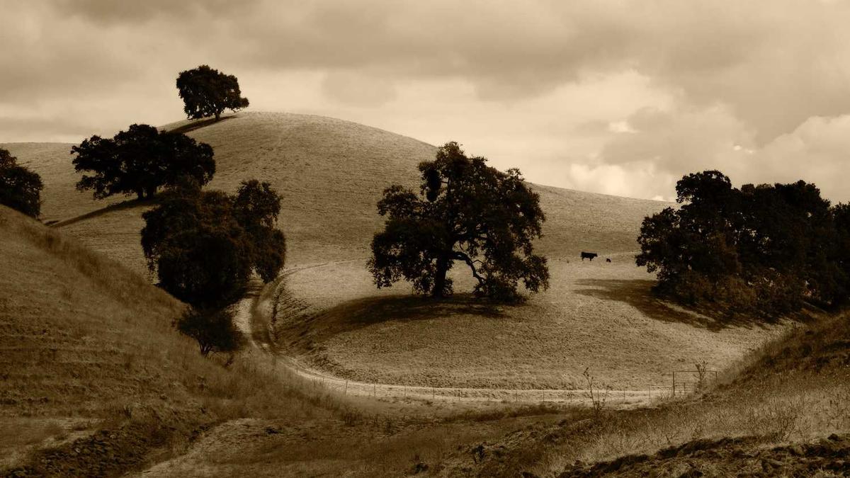 四川省南充市第一任市委书记是谁 - 南充市委常委调研市公安局