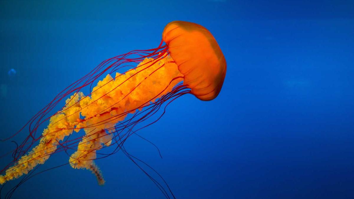 擘画“十四五”: 透过规划纲要看房地产未来发展 - 三门峡市住建局擘画城市发展