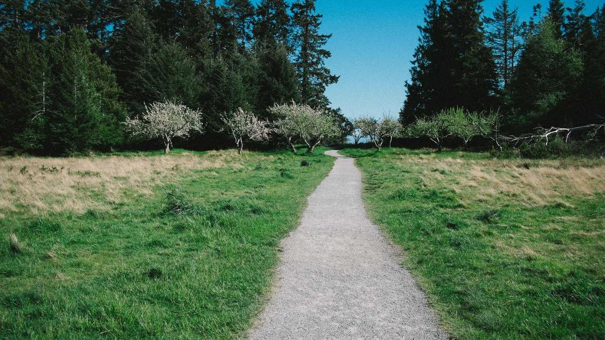 新能源网约车（如秦EV）换佳通什么胎划算？ - 安阳宝马ix3优惠21万