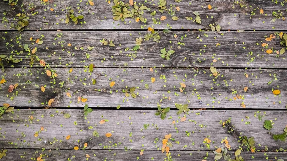 南浔古镇周边景点旅游攻略(南浔古镇必去的景点) - 湖州南浔古镇有哪些景点