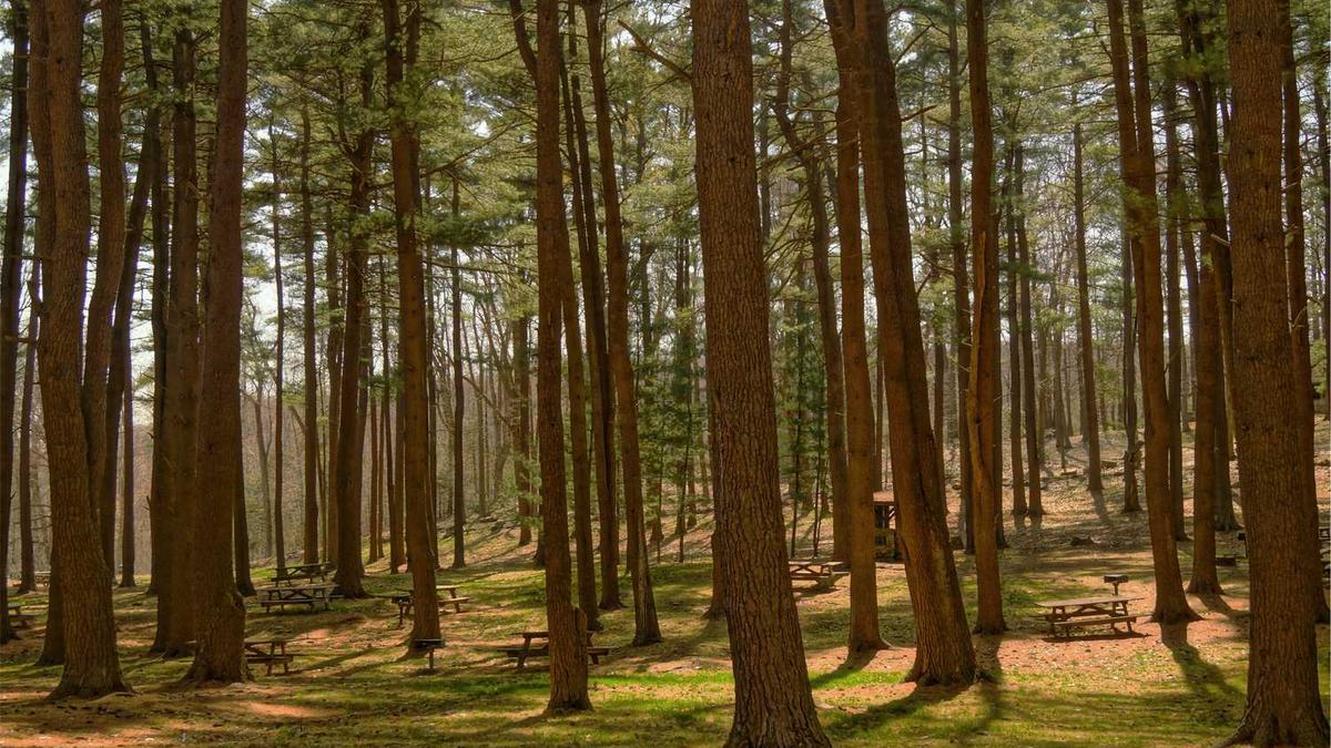 南浔古镇一日游最佳攻略 - 湖州南浔古镇有哪些景点