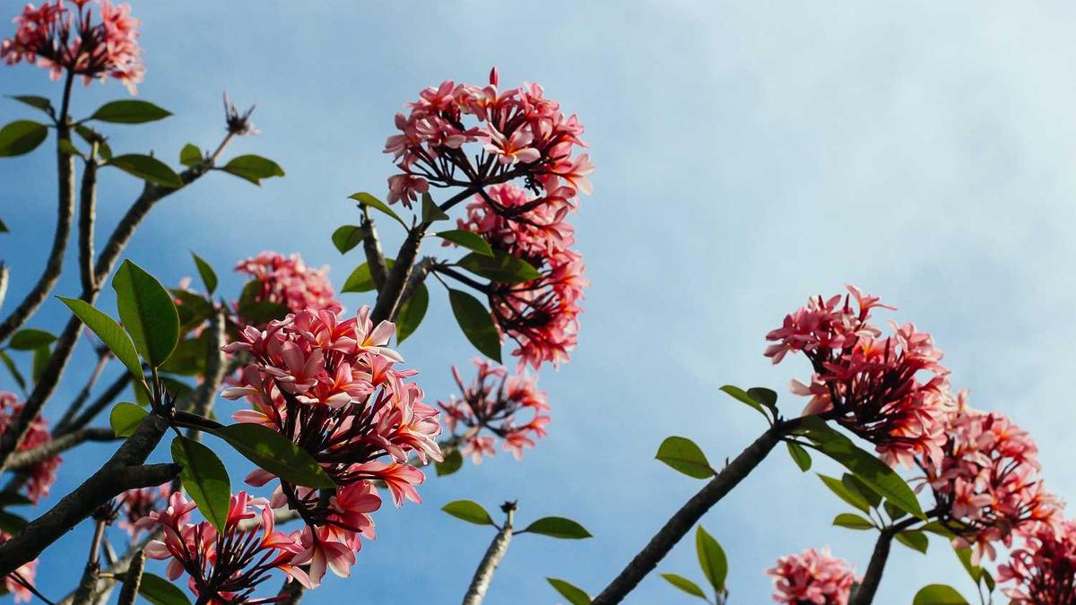 魔都哪里的spa会所好? - 上海spa会所网