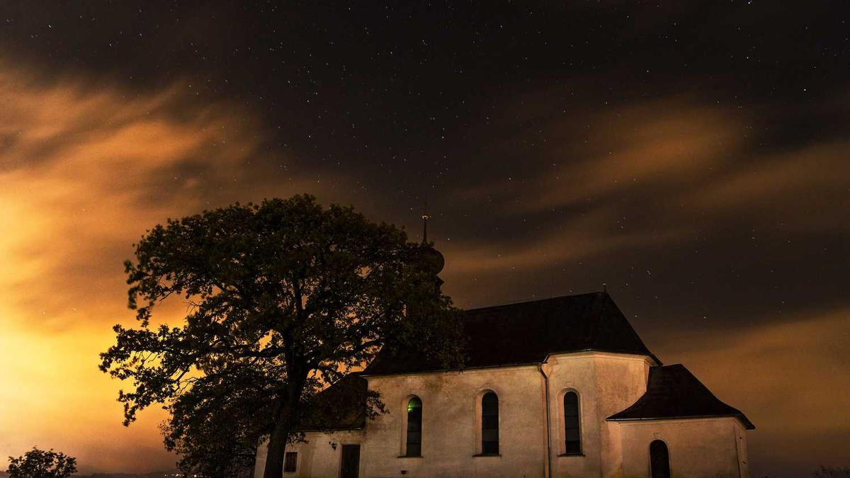 中国十大富硒之乡排名 - 贵港富硒大米产业发展迈出新步伐