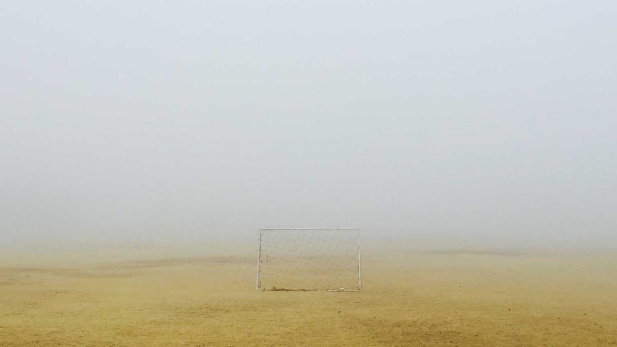 吃富硒大米的好处 - 贵港富硒大米产业发展迈出新步伐