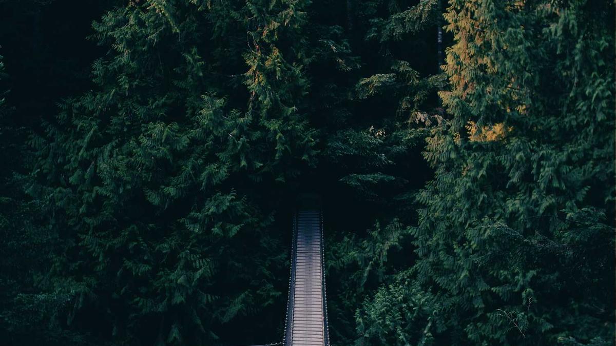 池州城乡居民养老保险待遇 - 池州城乡居民养老保险人均缴费