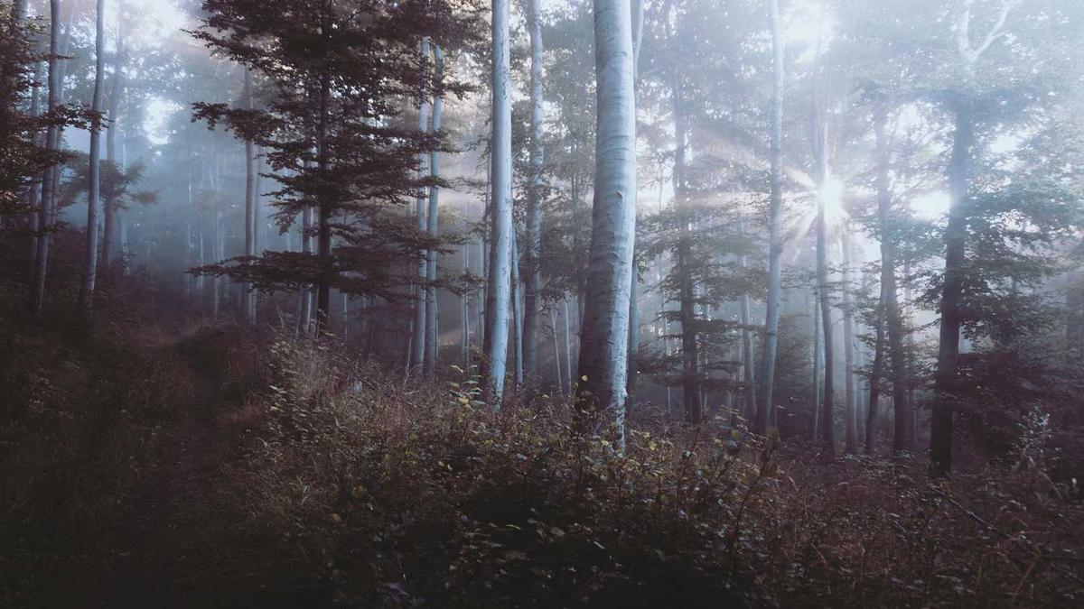 弘扬女排精神的演讲稿 - 吉林女曲3比1力克东道主