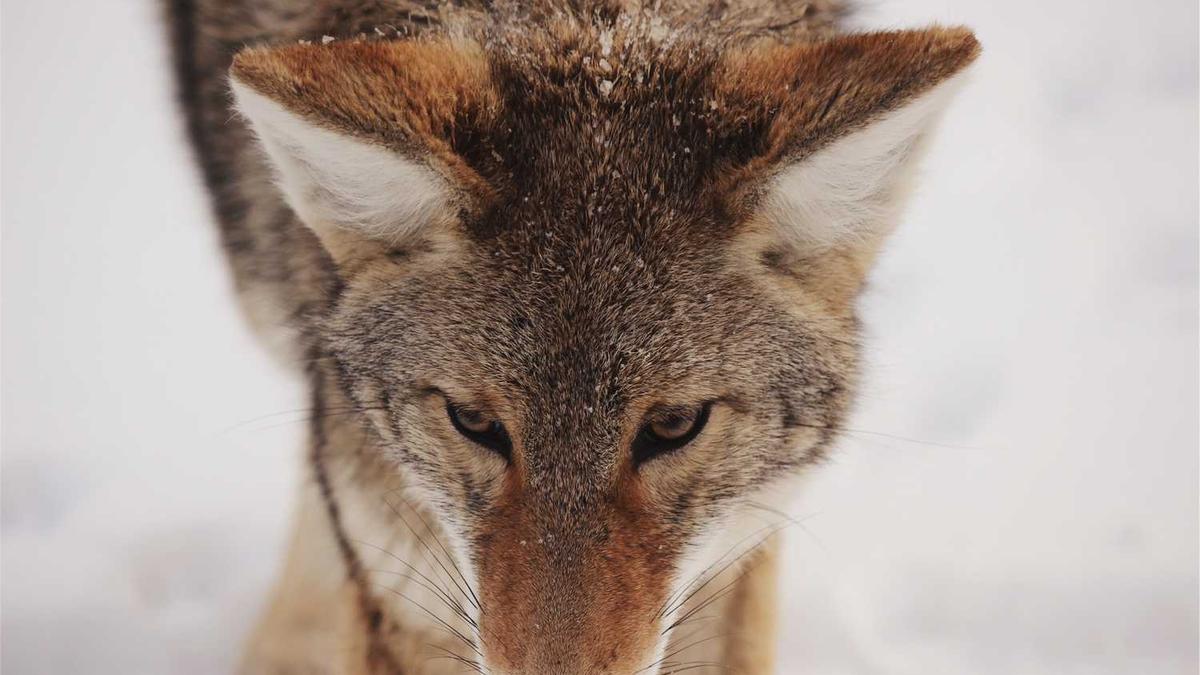 收购音响设备的店家 - 上海酒店厨房厨具设备回收