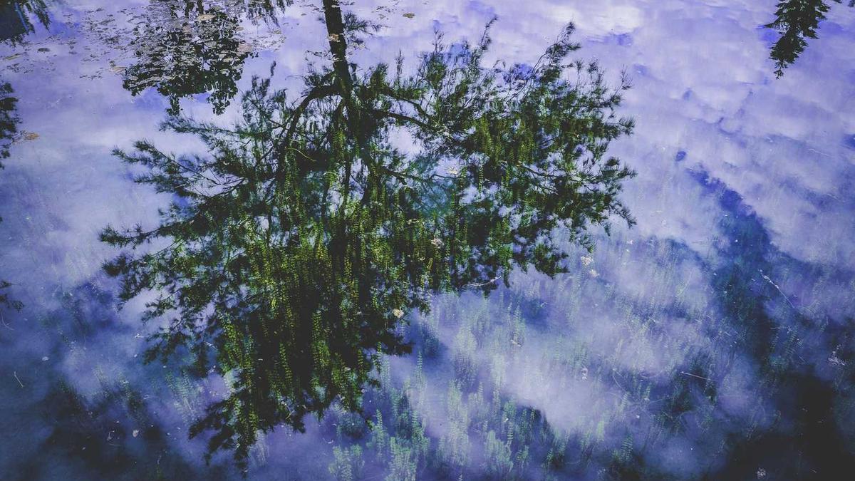 宜宾五粮液是国企还是央企 - 宜宾五粮液