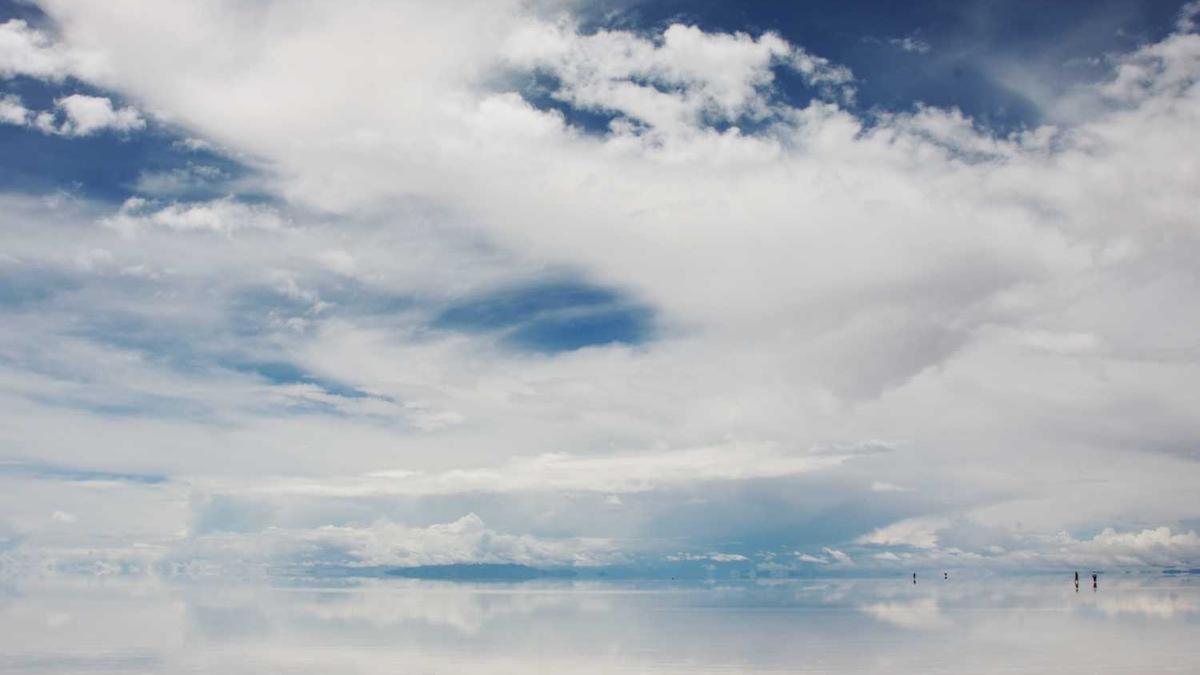 lmf音乐节什么意思 - 南京lmf音乐节