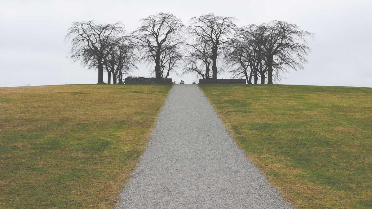 聊聊太仓港区的发展及房价 - 苏州房价七连跌