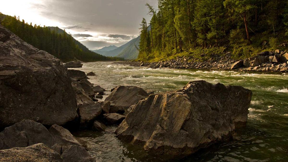 热炒的“环沪七子”,几乎一半都是坑!今年买房环沪要这样看! - 苏州房价七连跌