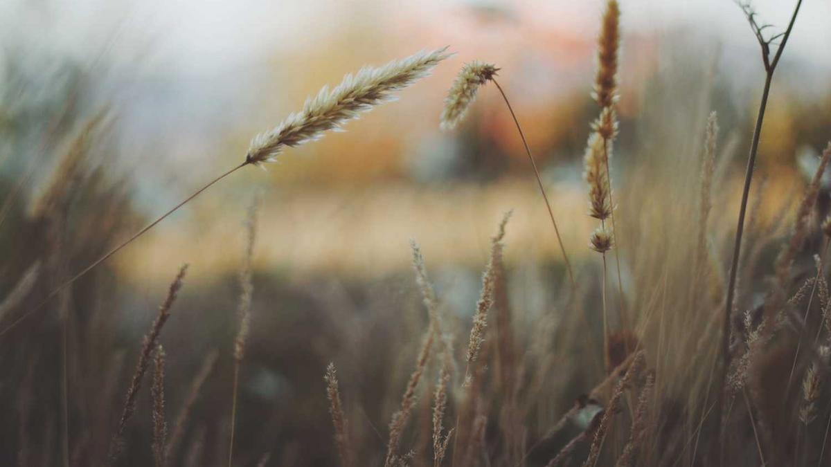 咸宁市公共资源交易中心内设机构 - 咸宁市公共资源电子交易平台