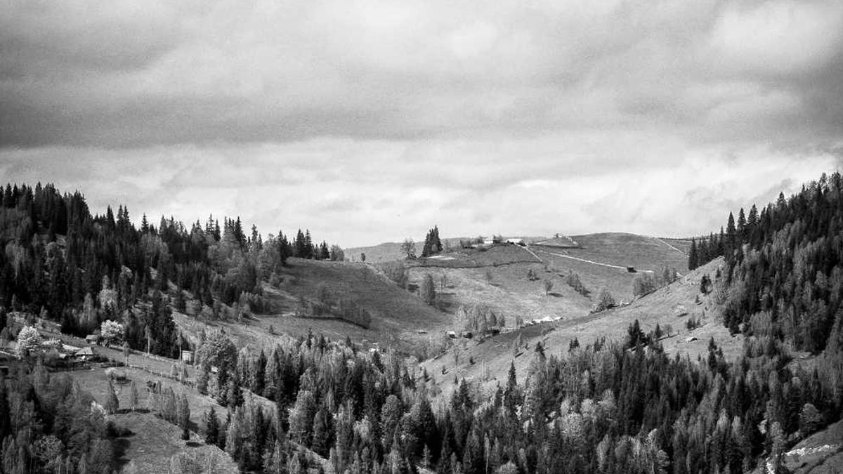 赤壁第六小学什么时候开始动工 - 咸宁市公共资源电子交易平台