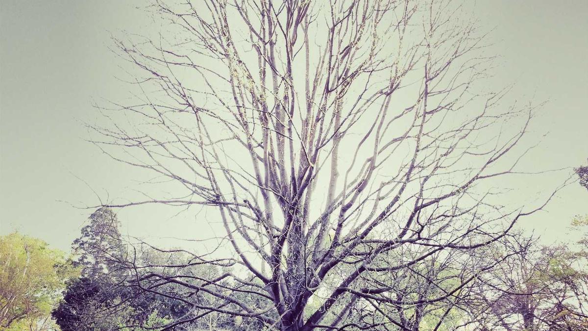 如何实施大生态建设