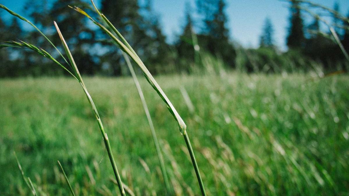 广东肇庆市旅游必去十大景点