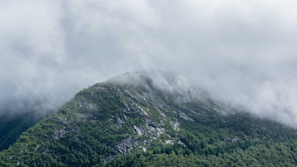 精油和按摩油有什么区别