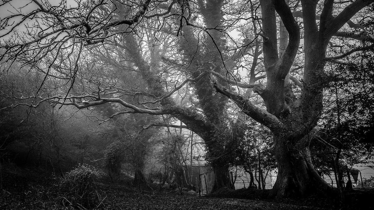 国内一线高端男装品牌有哪些?