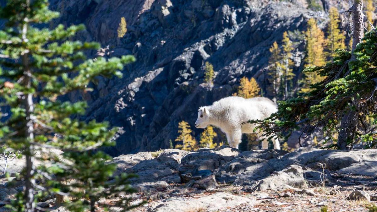 兴义哪些是免费培训