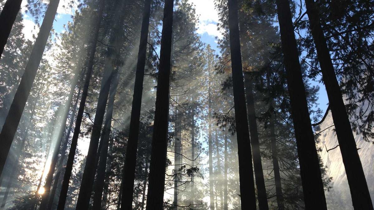 惠州未来一周的天气预报。