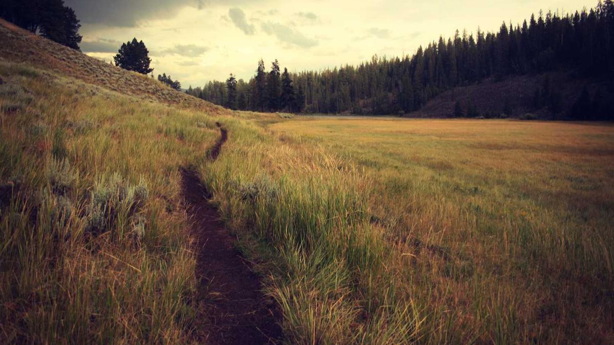 安徽省人民代表大会常务委员会关于安徽省耕地占用税适用税额的决定_百 ...