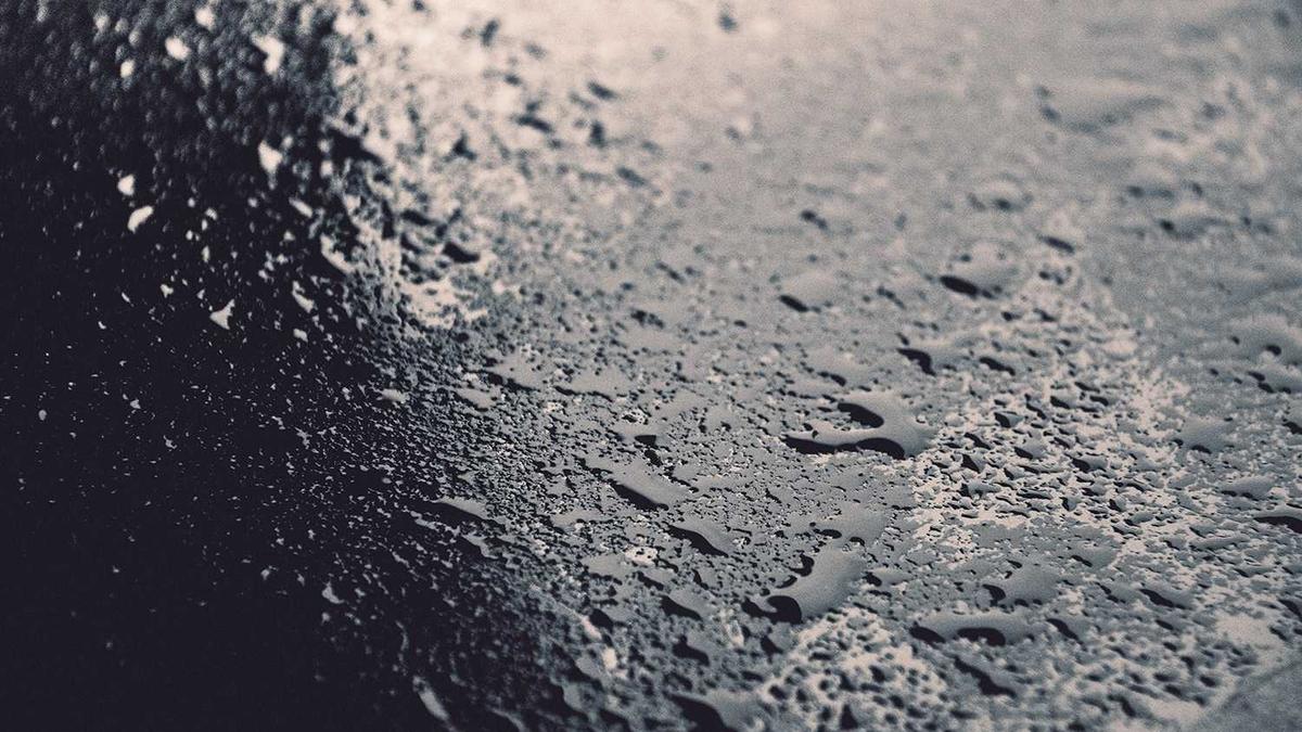 万历烧鸽子事件起因经过结果概括