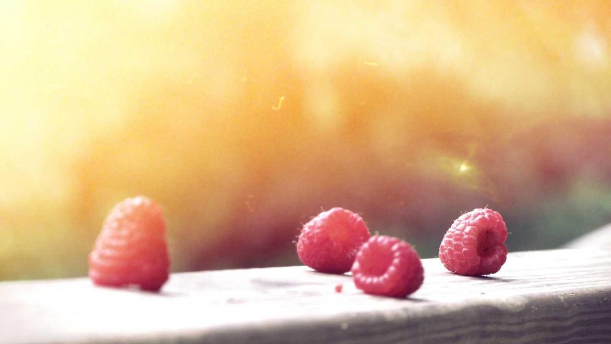 辽源市政府信息公开工作考核办法(试行)辽府办发〔2009〕50号_百度知...